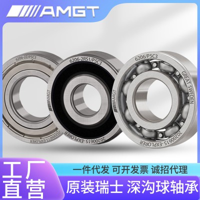 Deep Groove Ball Bearing 6200 6201 6202 6203 6204 6205 ZZ RS