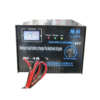48v 100% Cooper Luke Battery Charger for Rickshaw Tricycle