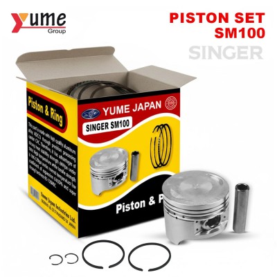 PISTON SET SM 1 00