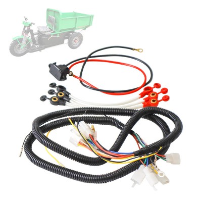 Complete Electric Vehicle Wiring Harness – Heavy-Duty Main Loom for Cargo Tricycles
