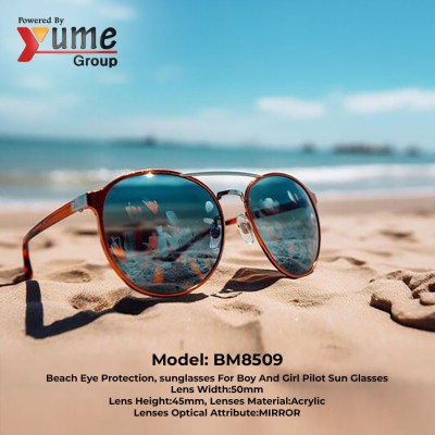Beach Eye Protection Pilot Sunglasses (BM8509)