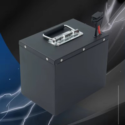 LongKun 60Ah LiFePO4 Lithium-Ion Battery