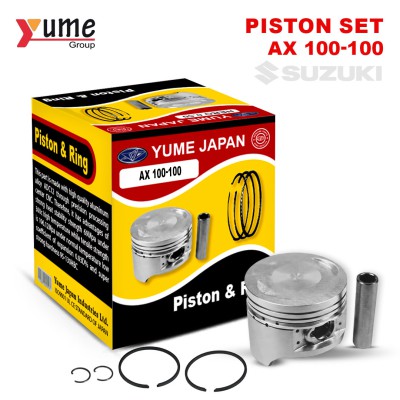 Piston Set AX 100-100
