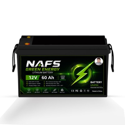 NAFS Green Energy 12V 60Ah LiFePO4 Lithium Battery